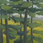 Pines by the Saco